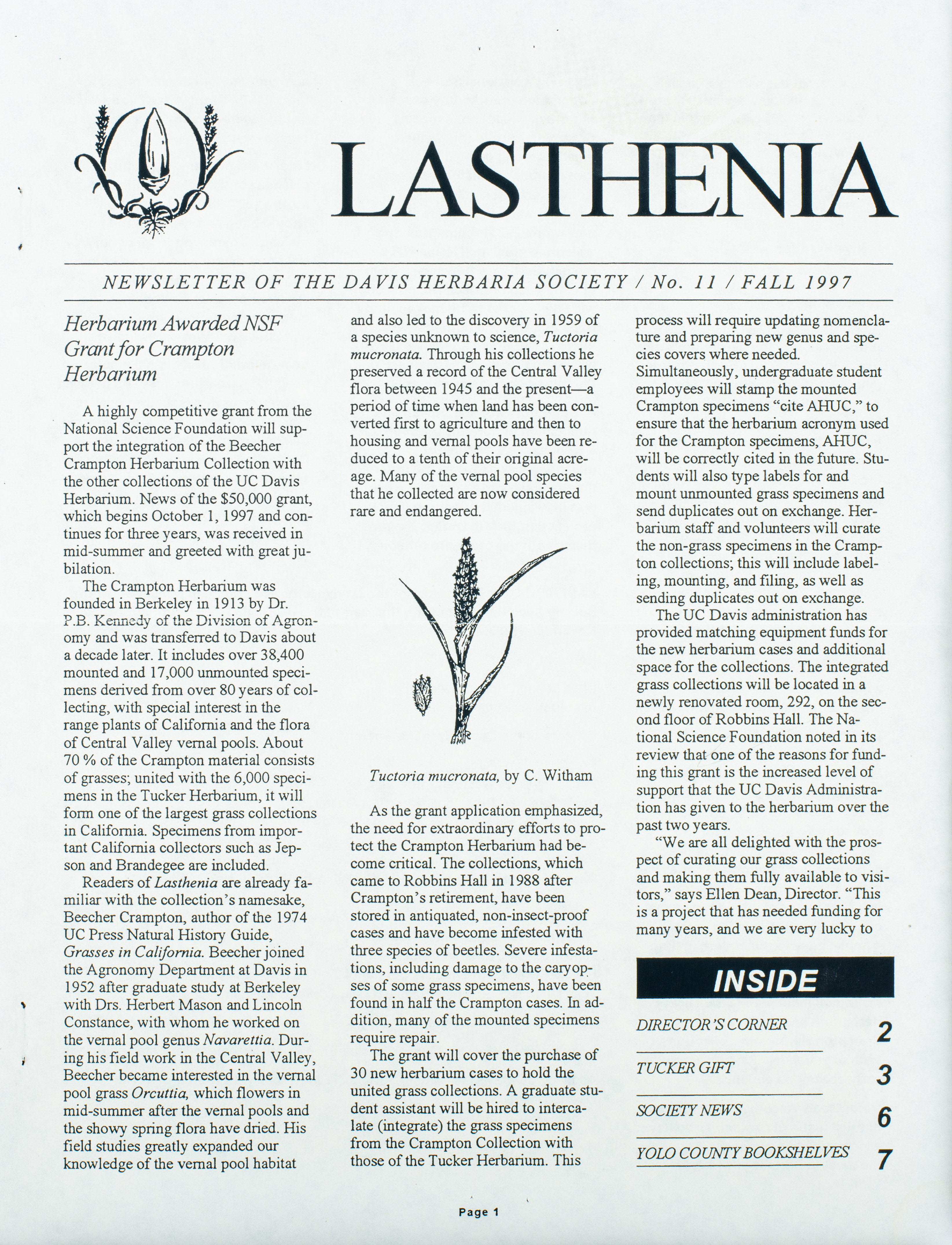 Lasthenia 11 Cover