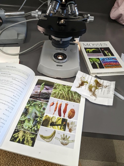 Moss keying tools and reference books.