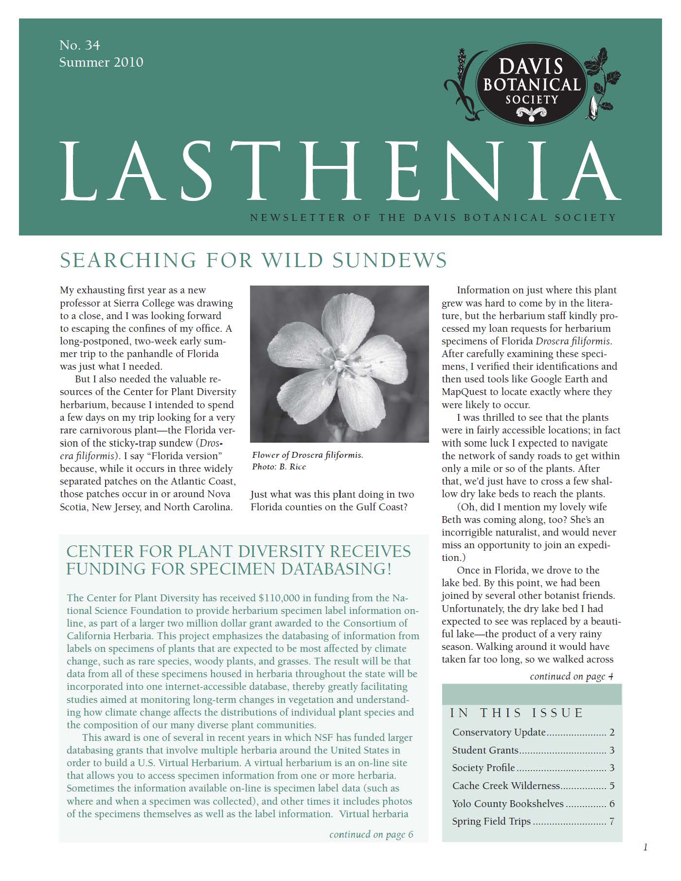 Lasthenia 34 Cover