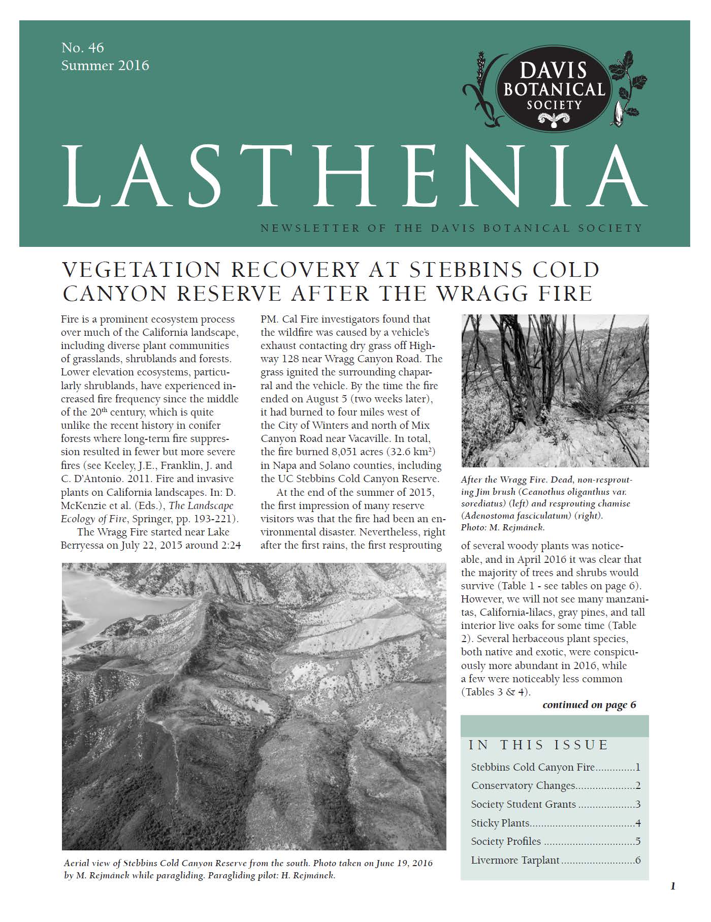 Lasthenia 46 Cover