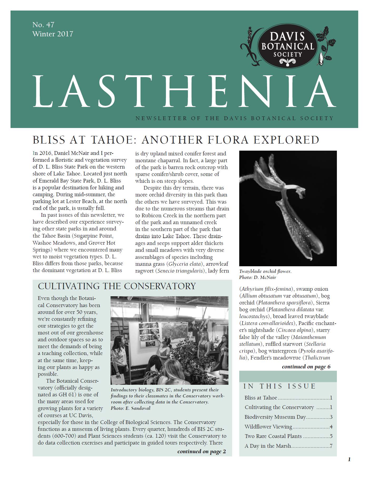 Lasthenia 47 Cover