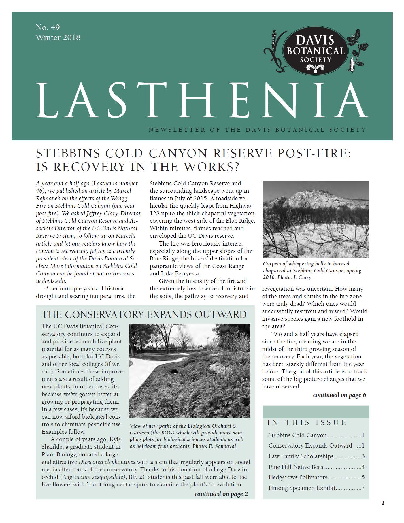 Lasthenia 49 Cover
