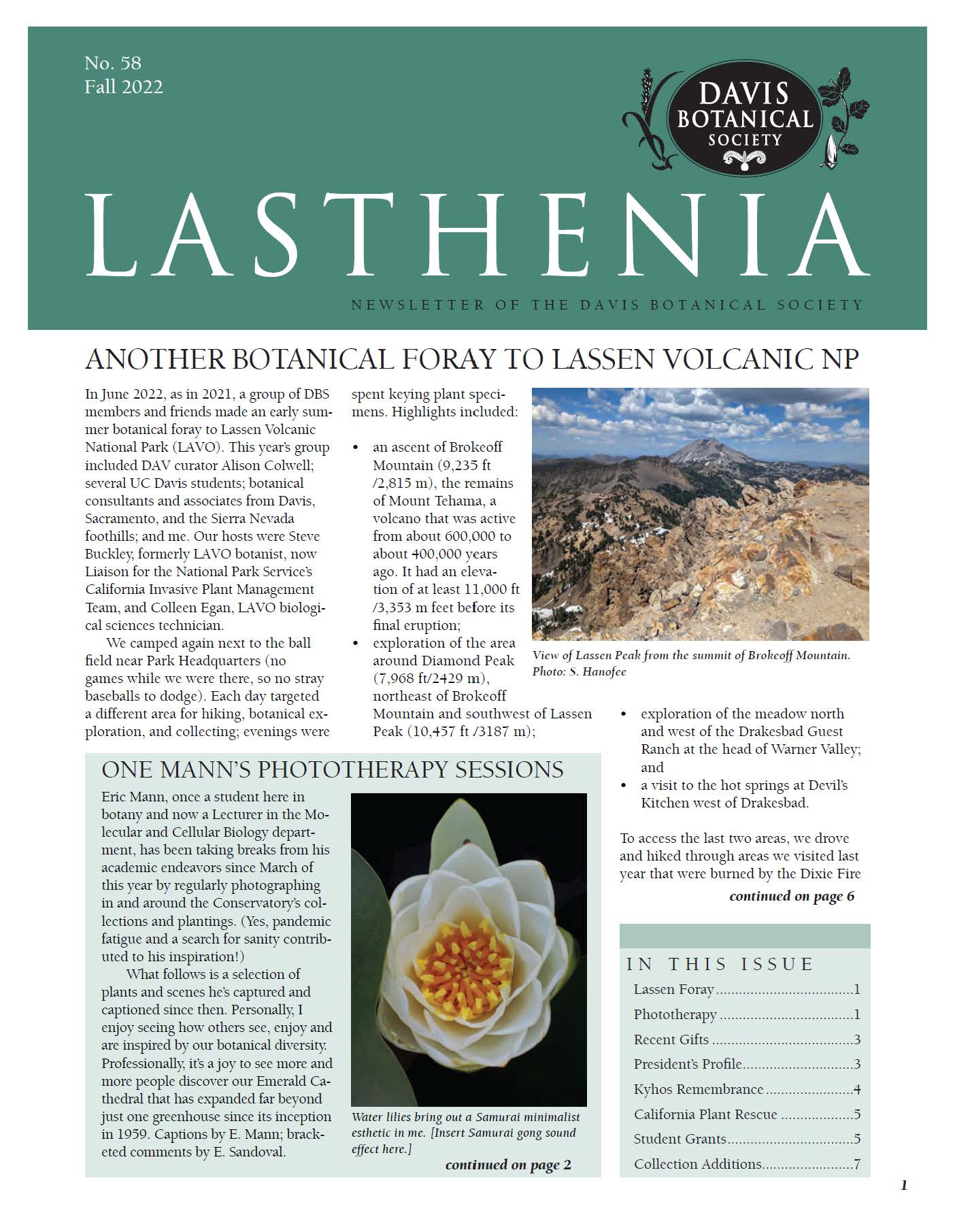 Lasthenia 58 Cover