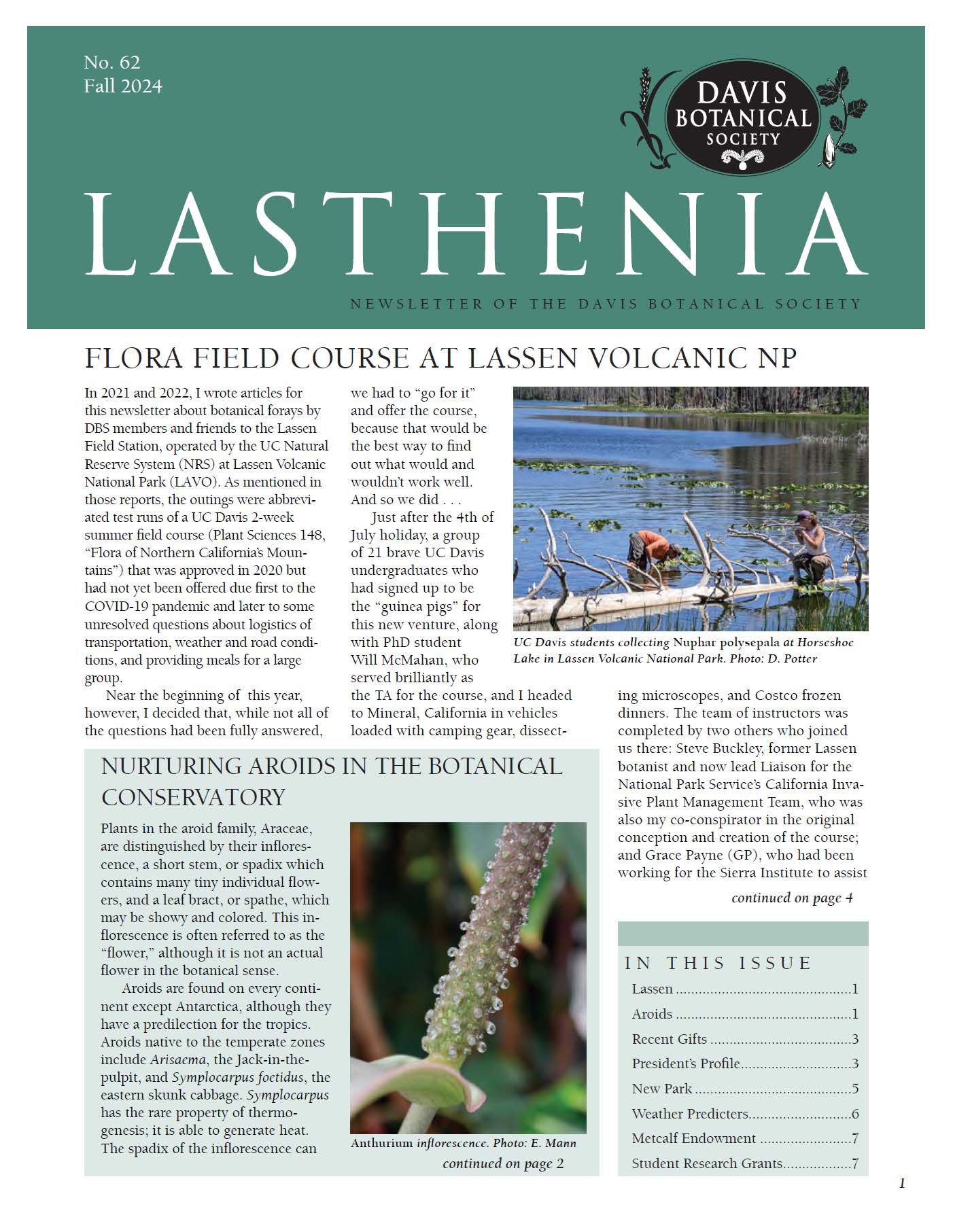Lasthenia 62 Cover