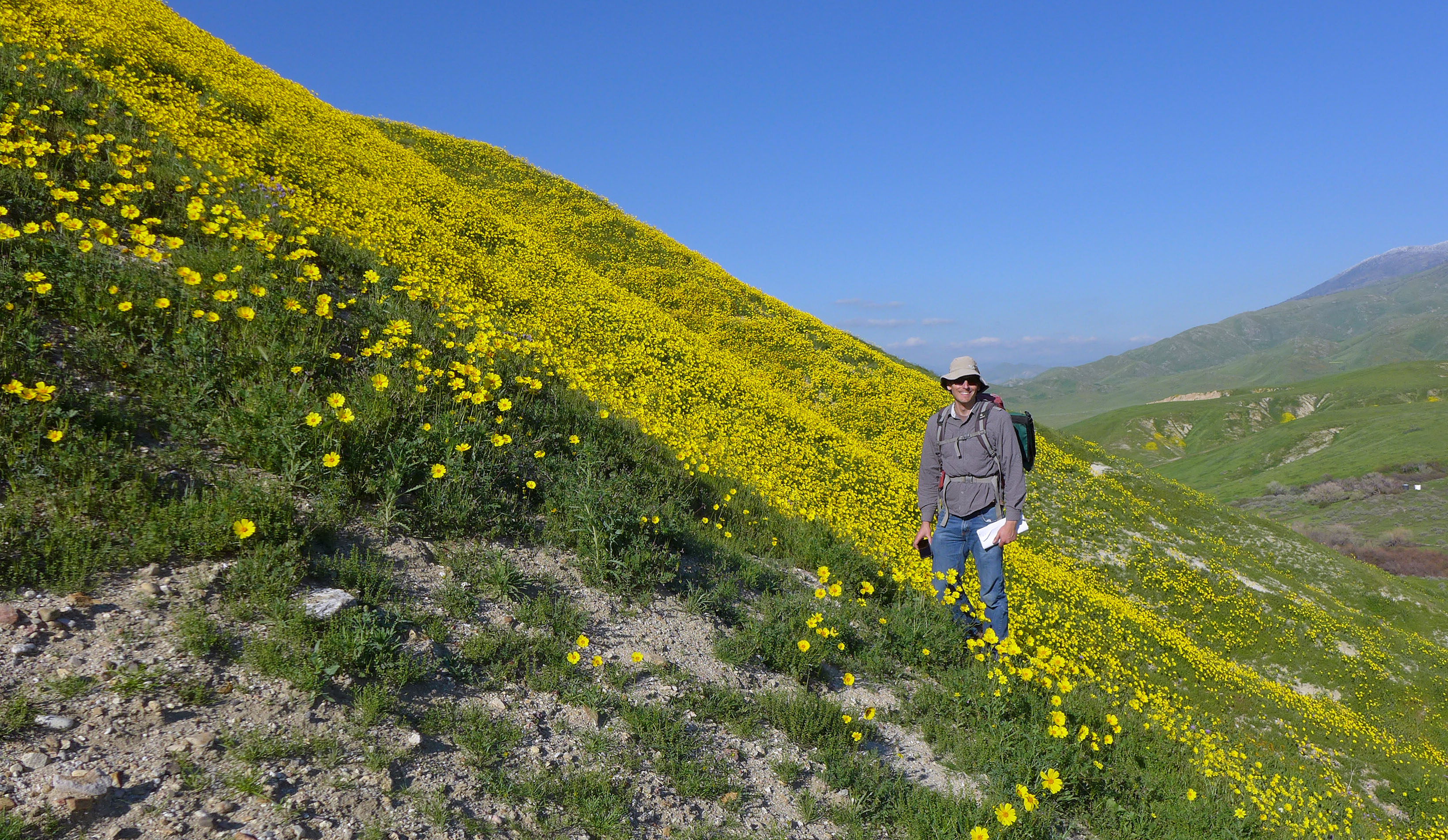Tejon Landscape