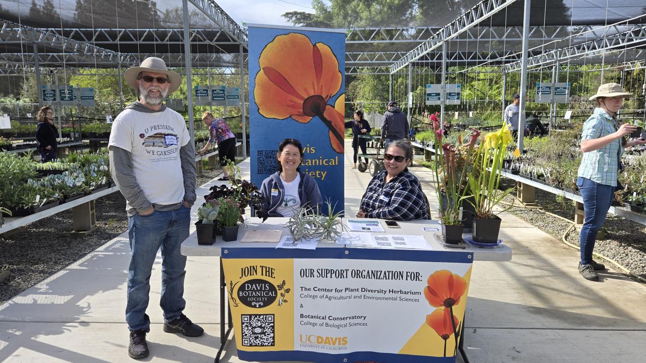 Davis Botanical Society membership table at Arboretum Plant Sale