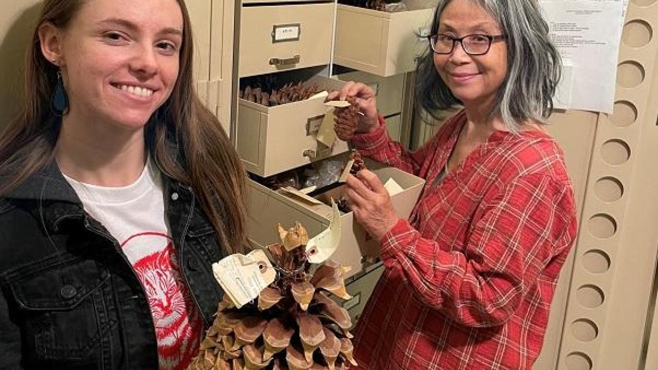 Ana Verschoor and Karen Miyagishima showing large and small cones in our cone collection.