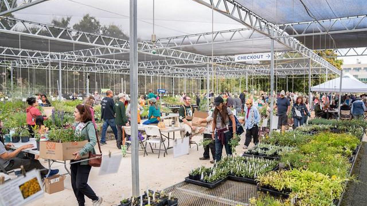 Photo of people looking at plants on growing tables in the Arboretum Teaching Nursery on plant sale day.