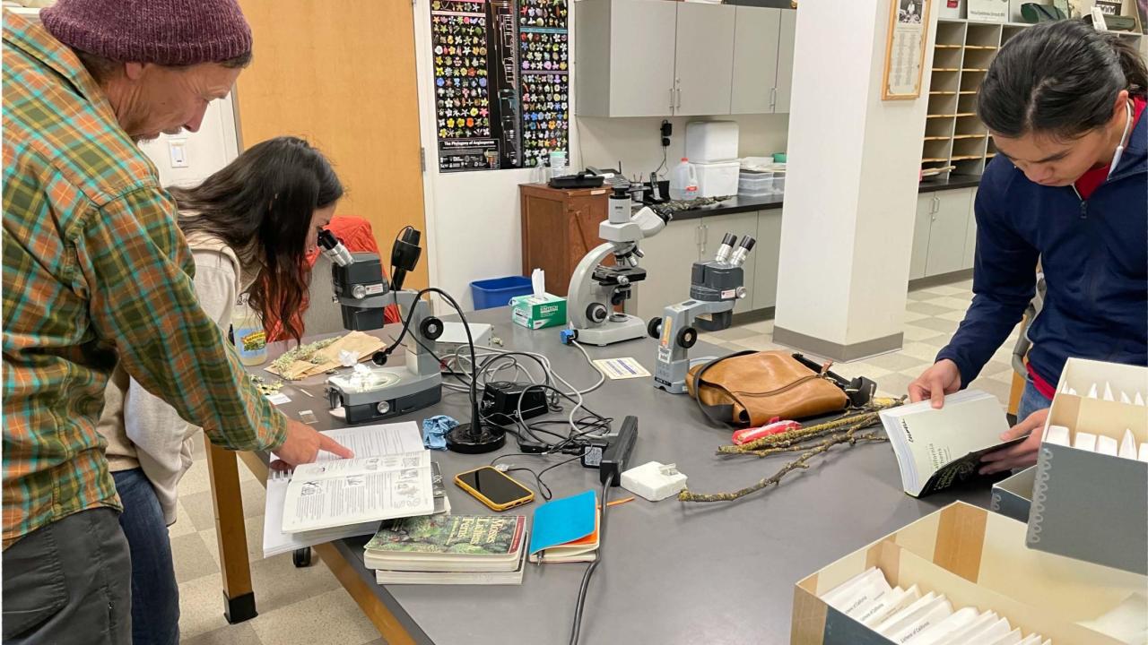 Ceanothus Plant Identification Workshop photo with four people using microscopes and Jepsom Manual of California plants