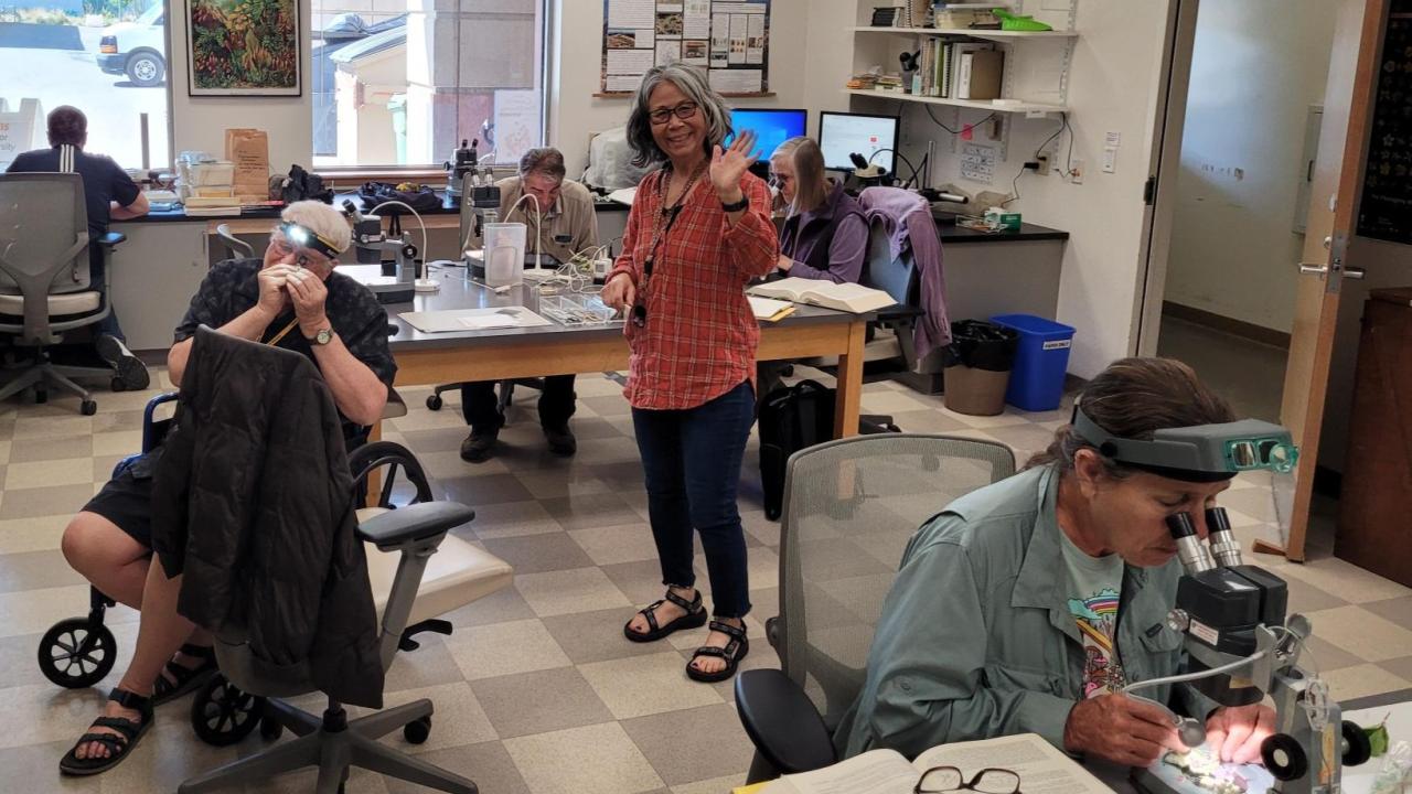 Plant identification workshop.