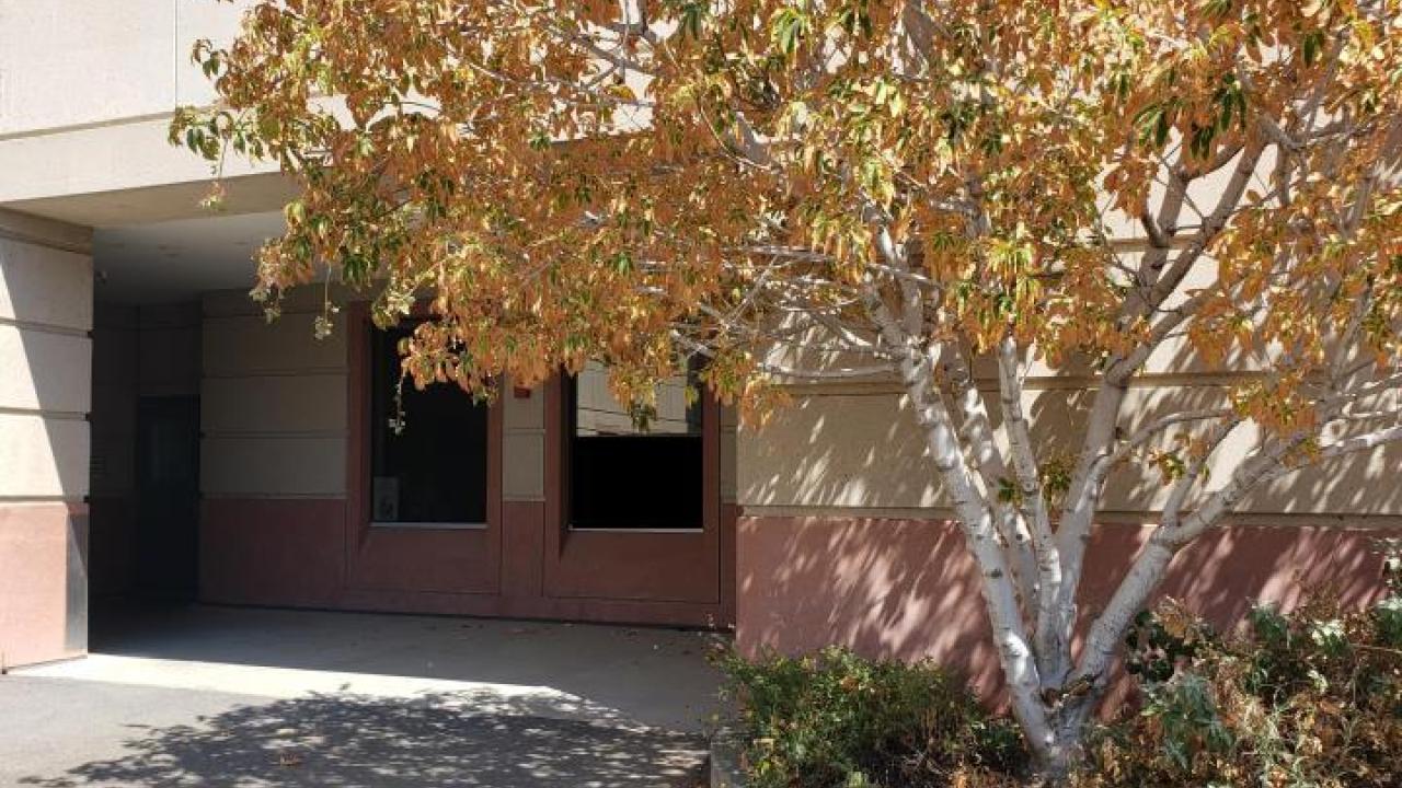 Photo of the entrance to the Herbarium entrance as seen from the alley.