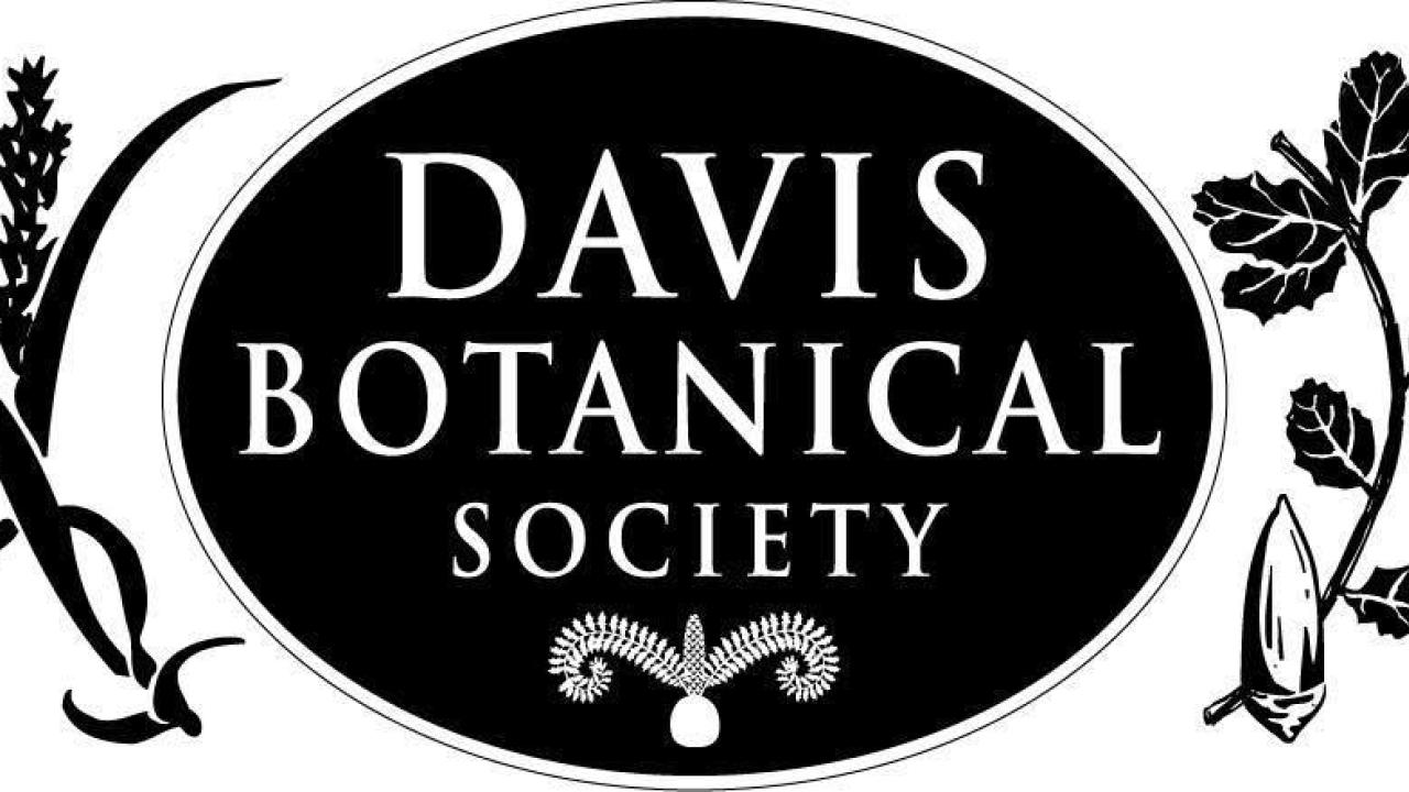 Davis Botanical Society oval logo with drawing of Tuctorie mucronata on the left and Quercus