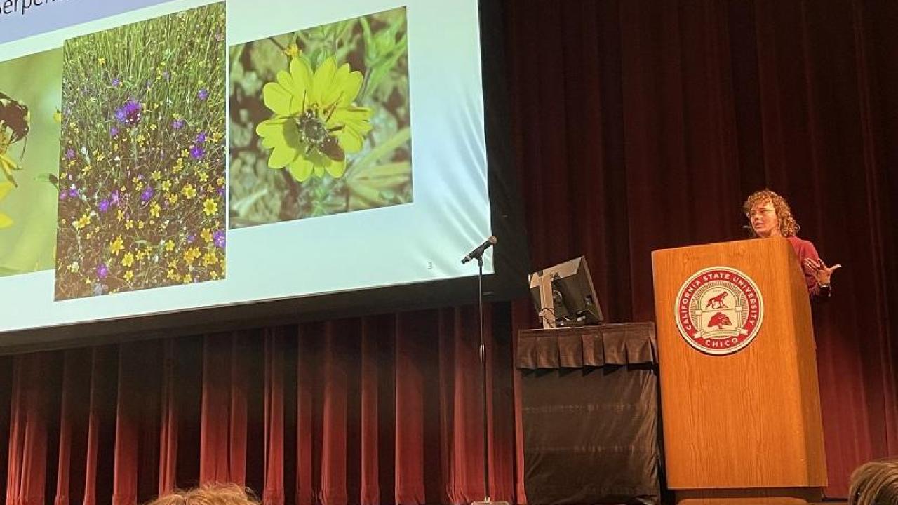 Grant Recipients Northern California Botanists Symposium in Chico California January 2024, graduate student Rebecca Nelson talks about serpentine grasslands.