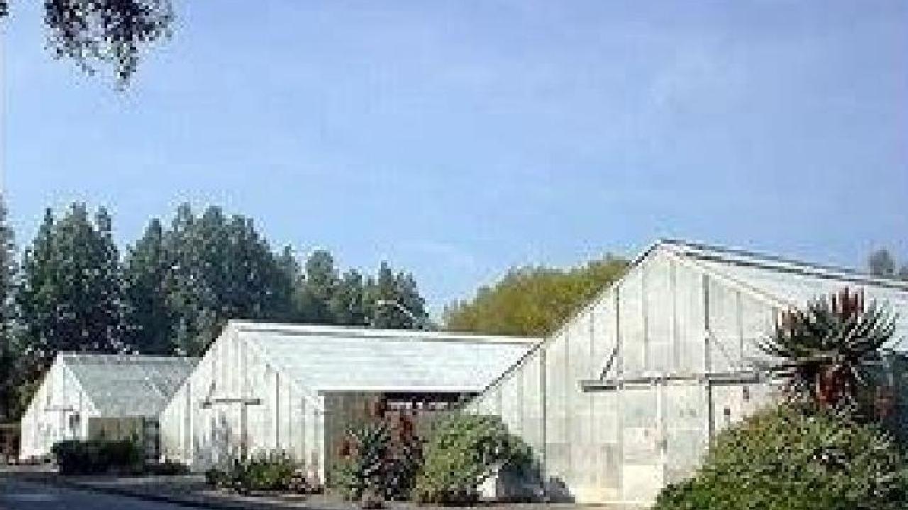 View of the three greenhouses of the Conservatory, seen from the street.