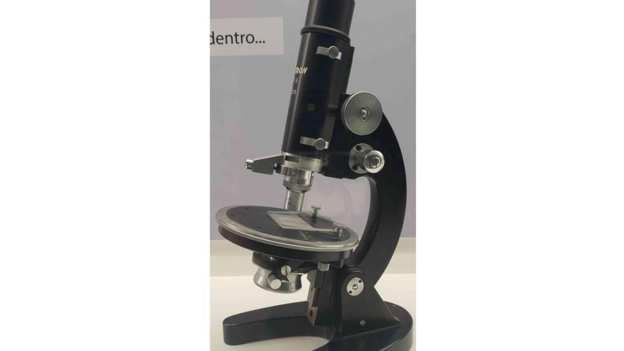 Vintage microscope representing the concept of looking through a microscope to see more detail of the plant's anatomy. Today digital microscopes allow for viewing on a screen.