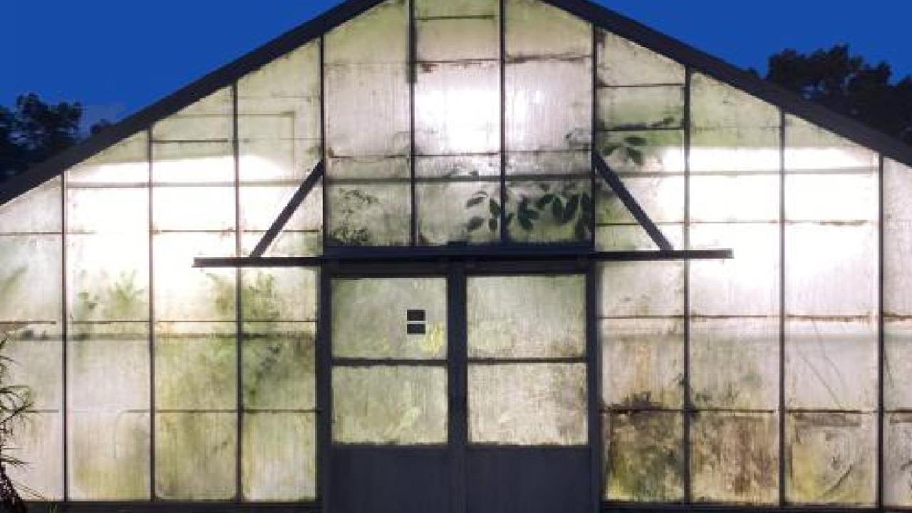 Seminars - Night at the Conservatory greenhouse image