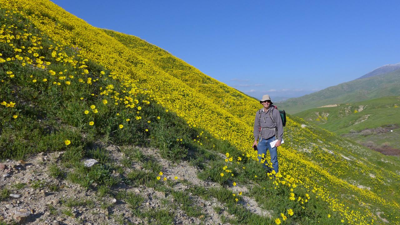 Tejon Landscape