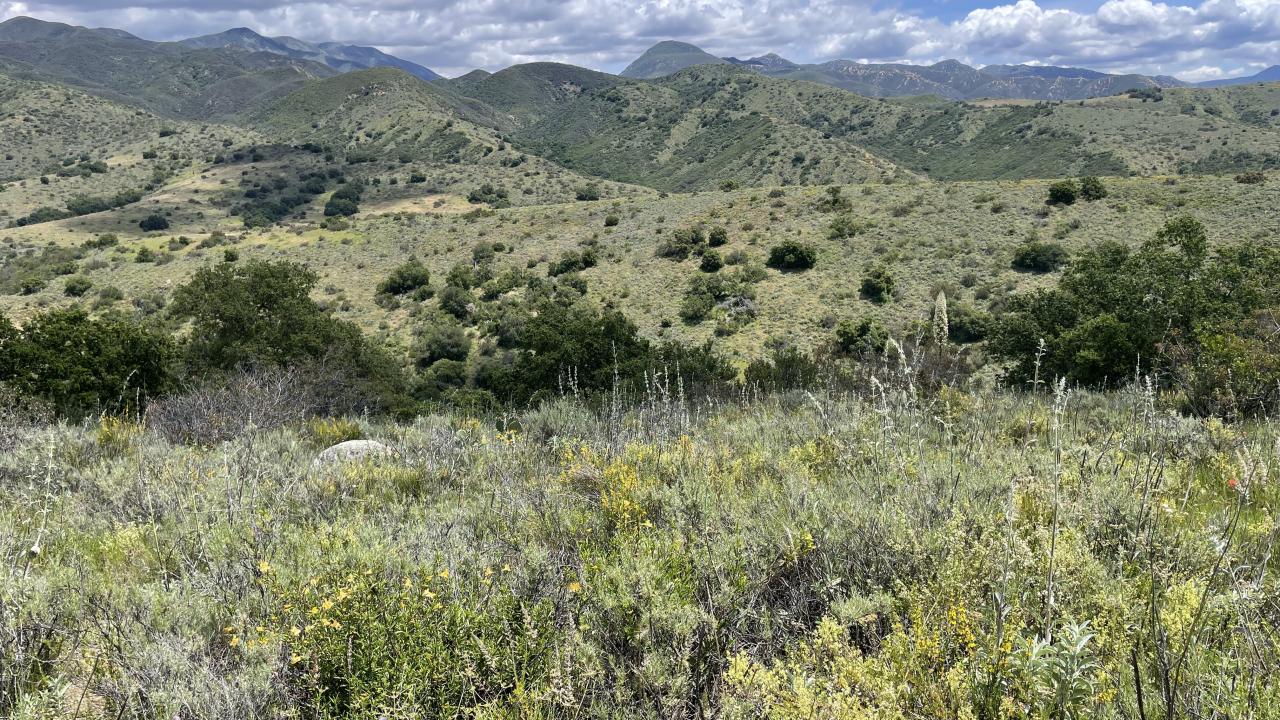 Photo of landscape, California is home to exceptionally high biodiversity, iconic landscapes, and species found nowhere else on Earth.