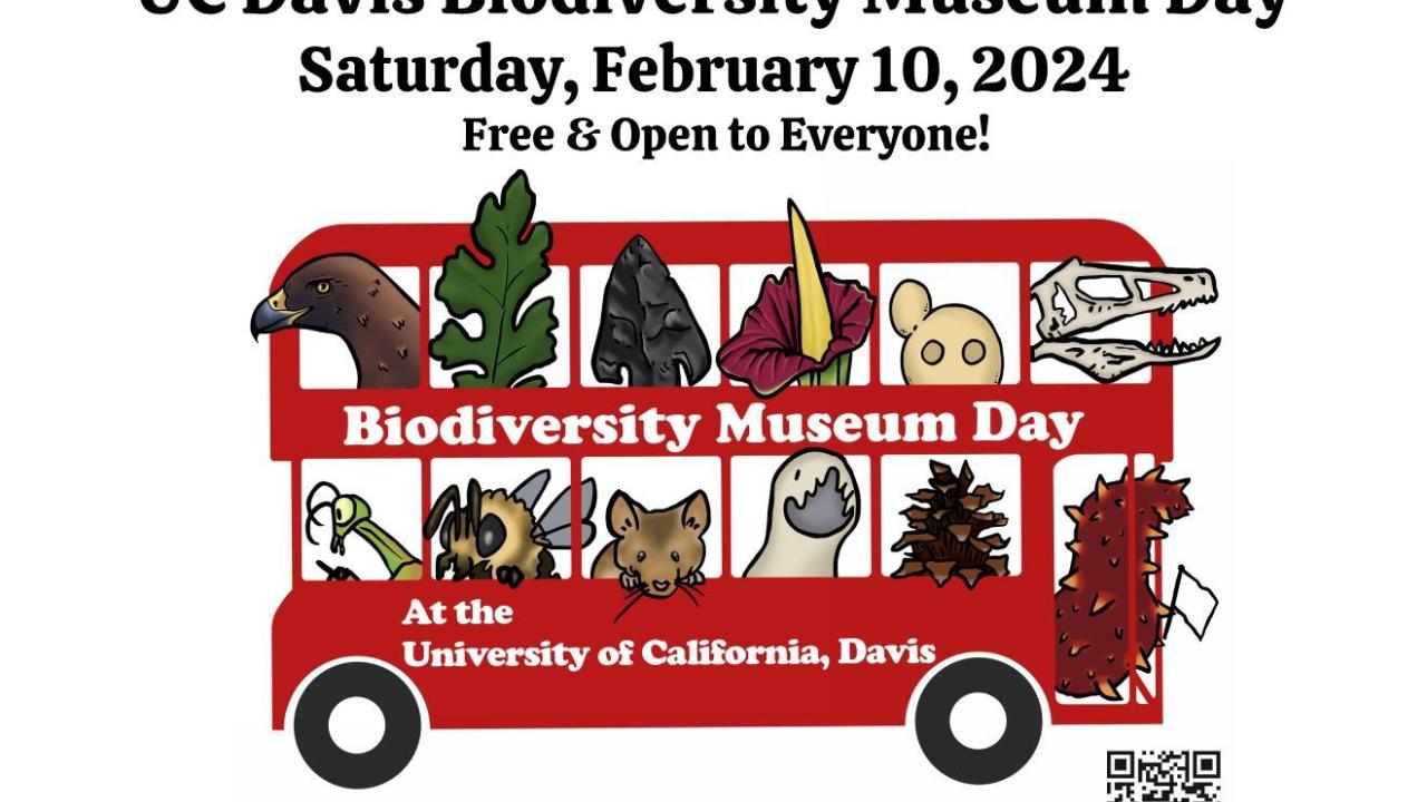 Biodiversity day advertisement featuring red double decker bus with plants, animals, and insects in the windows.