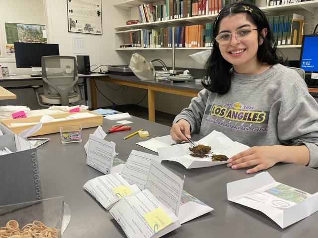 Curatorial assistant transferring mosses.