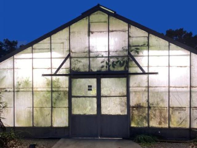 Seminars - Night at the Conservatory greenhouse image