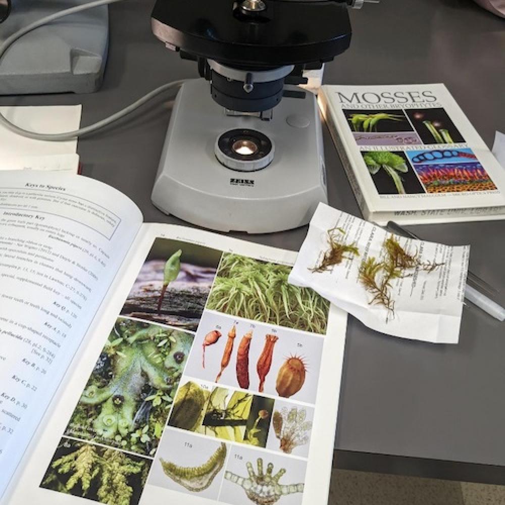 Moss keying tools and reference books.