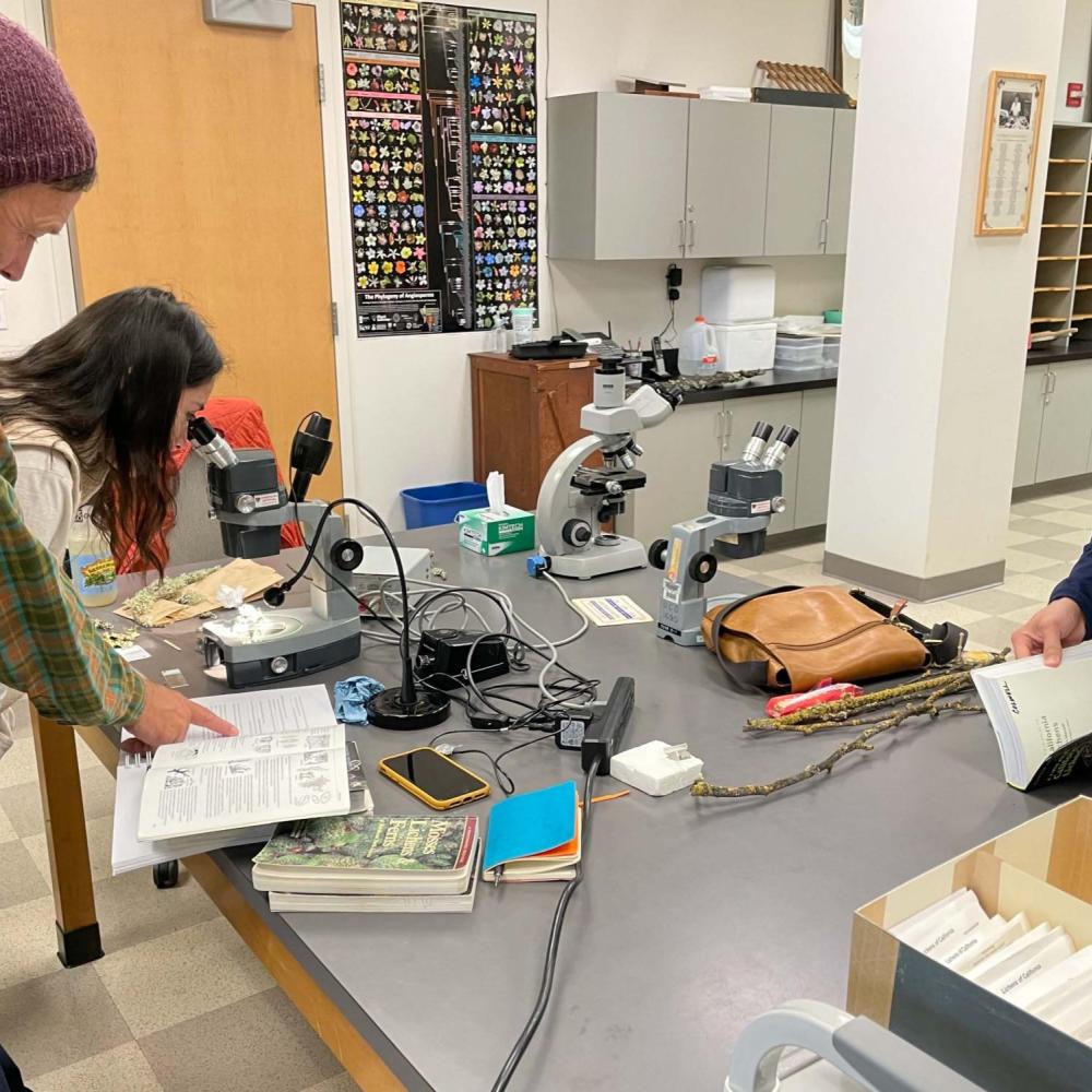 Ceanothus Plant Identification Workshop photo with four people using microscopes and Jepsom Manual of California plants