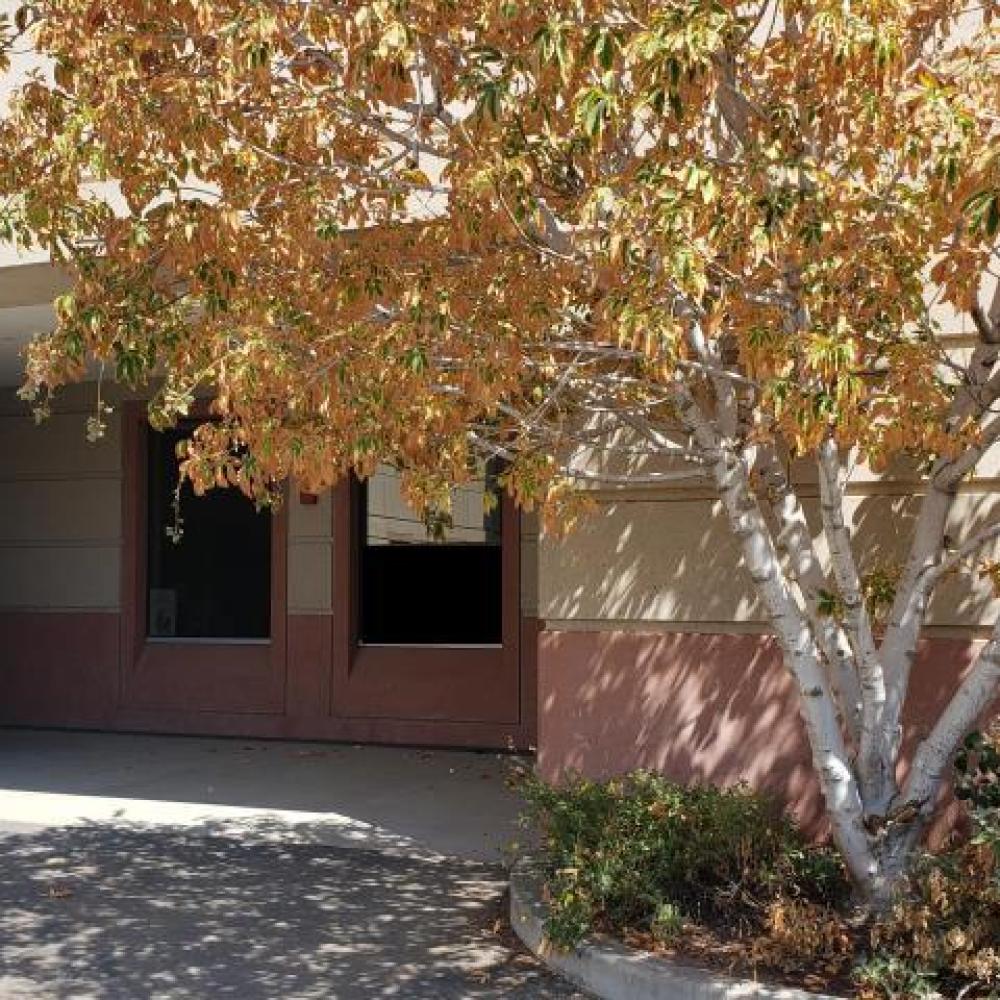 Photo of the entrance to the Herbarium entrance as seen from the alley.