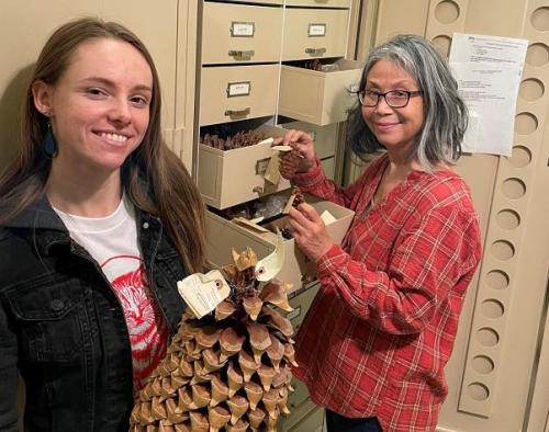 Ana Verschoor and Karen Miyagishima showing large and small cones in our cone collection.