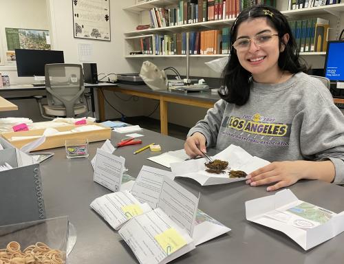 Curatorial assistant transferring mosses.