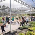 Photo of people looking at plants on growing tables in the Arboretum Teaching Nursery on plant sale day.