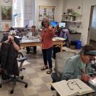 Plant identification workshop.