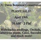 Conservatory Plant Sale
