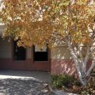 Photo of the entrance to the Herbarium entrance as seen from the alley.
