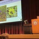 Grant Recipients Northern California Botanists Symposium in Chico California January 2024, graduate student Rebecca Nelson talks about serpentine grasslands.